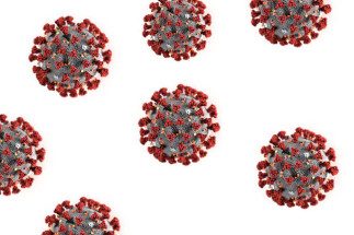 Lessons learned from the coronavirus pandemic 1 Coronavirus 1 1 1 1 14 2qGXik