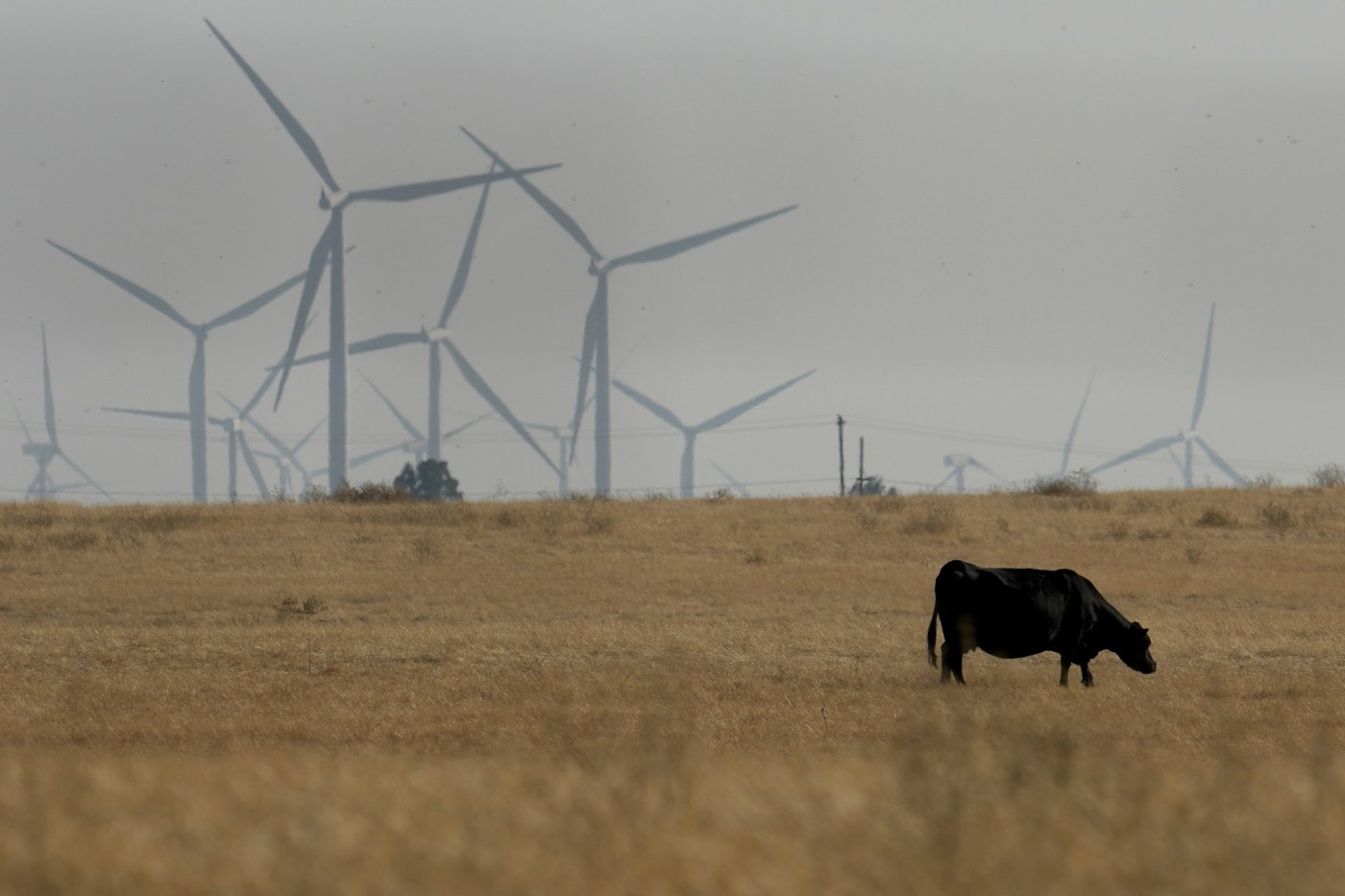 Democrats must display an honest respect for rural Americans’ desire for independence 1 AP24017038761940 SXvjph