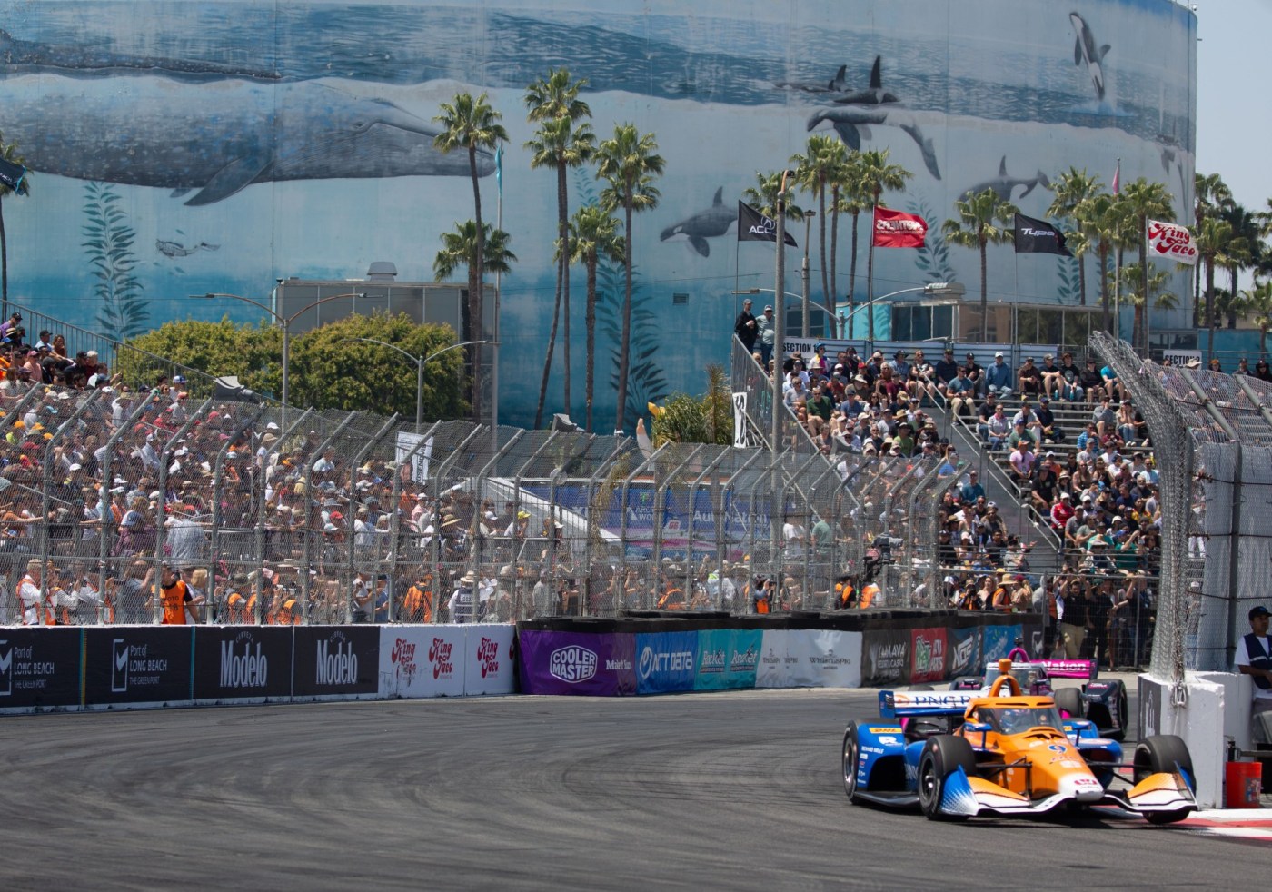 Grand Prix of Long Beach: Newgarden unhappy with Herta after being bumped 1 LDN L GPLB NOTES 0222 13 1 ieWcDZ