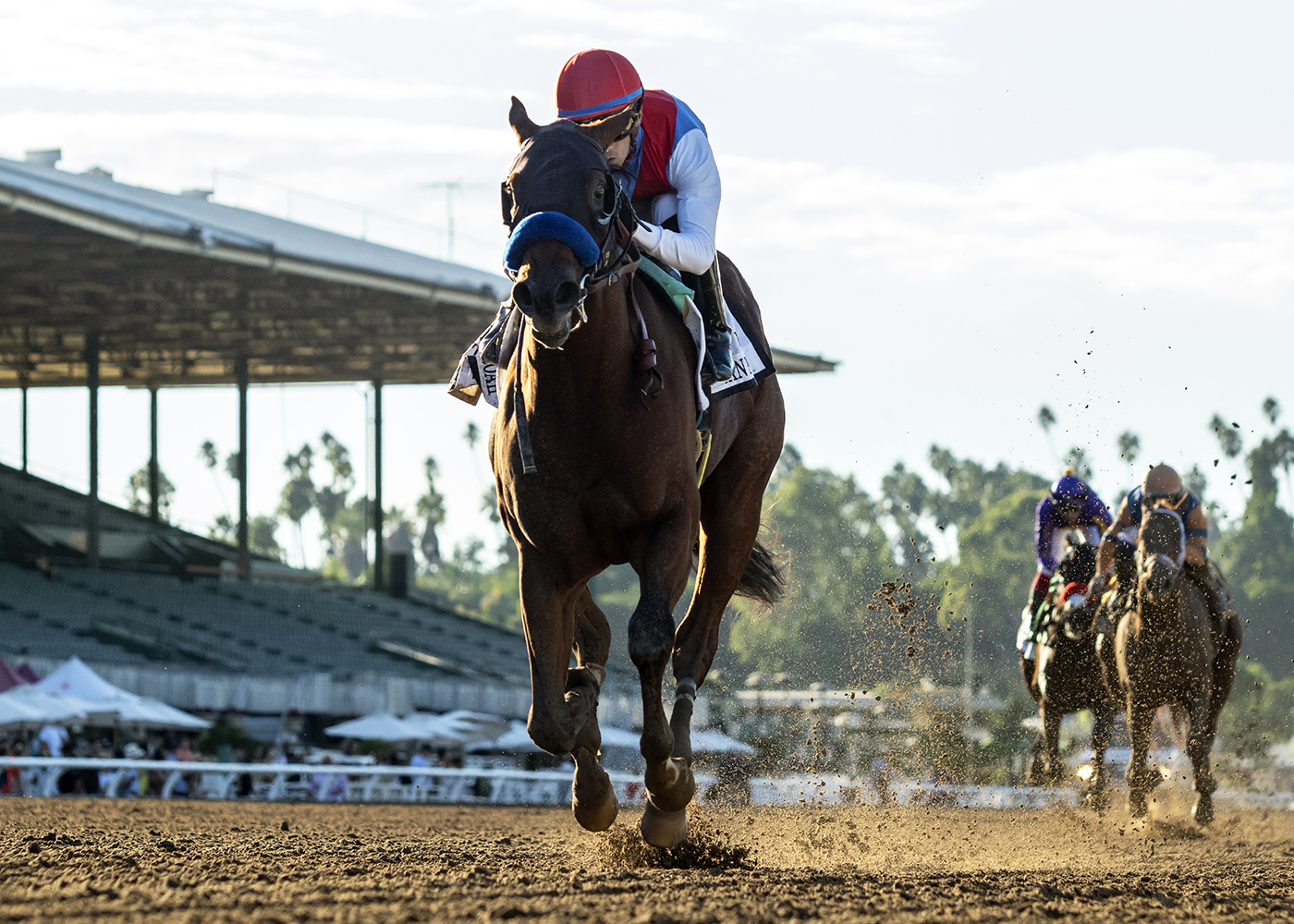 Judge denies request for Bob Baffert-trained Muth to run in Kentucky Derby 1 Muth ho1 200
