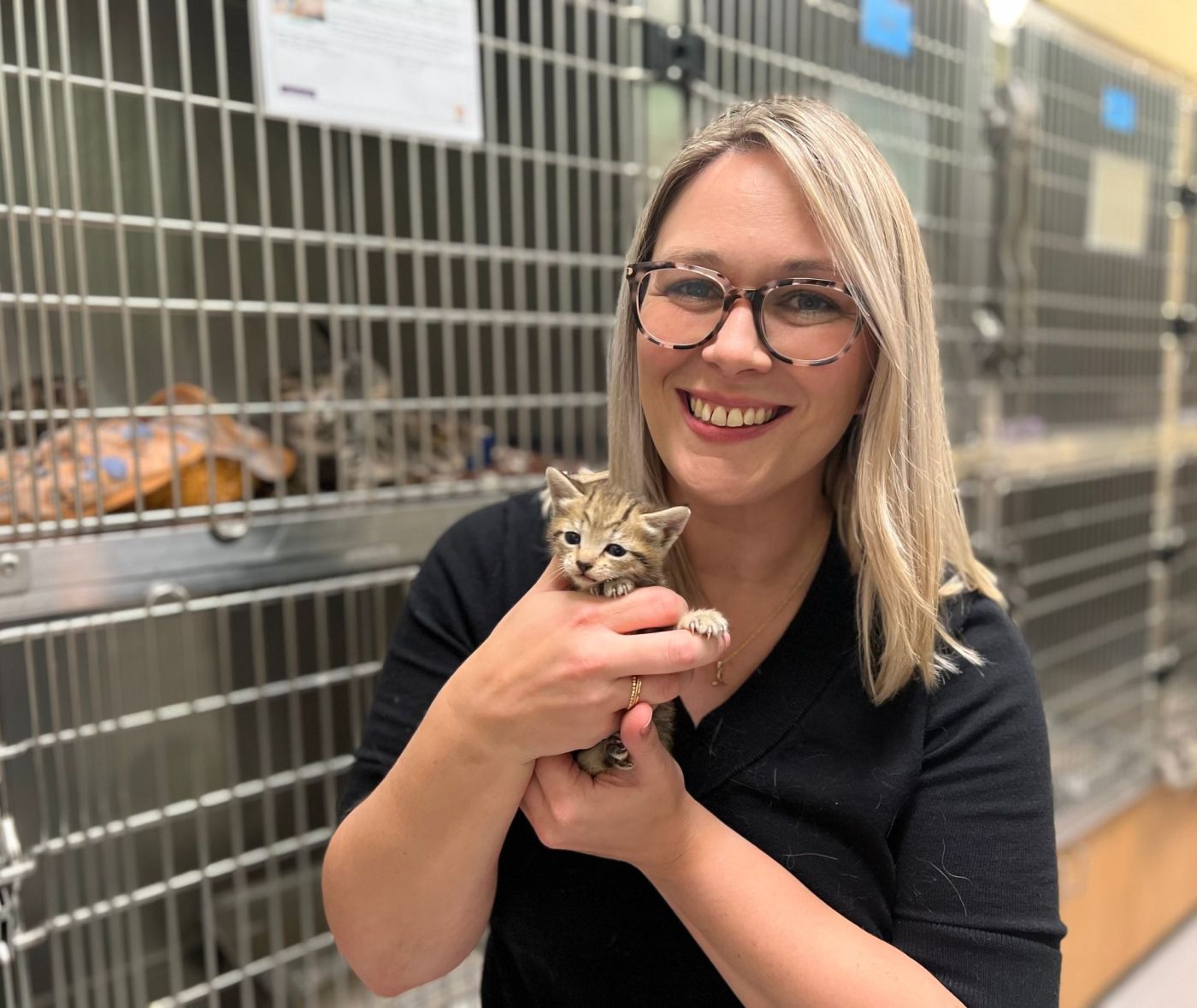Permanent director named for OC Animal Care 1 OCR L DIRECTSHELTER 0411 01 vVsOFj