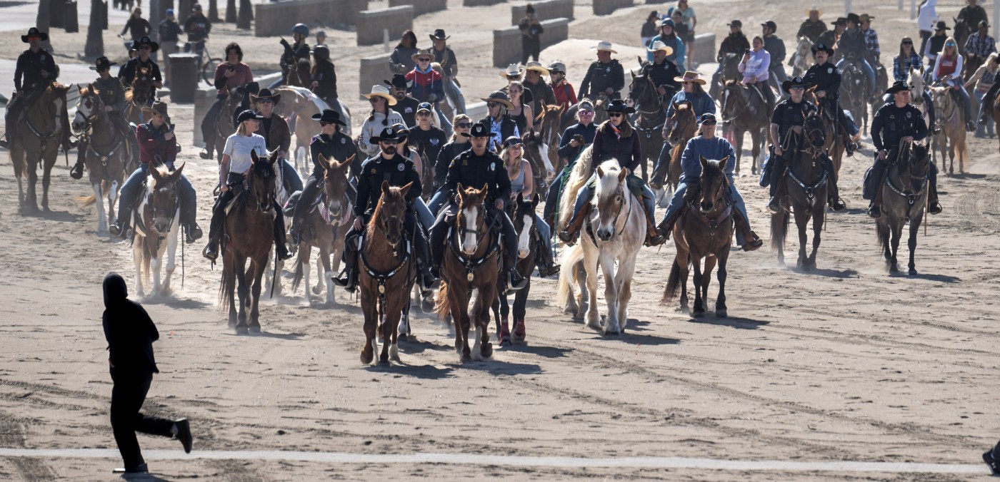OCR L HORSEVELLA 0409 11 MS 1 N0wW4B