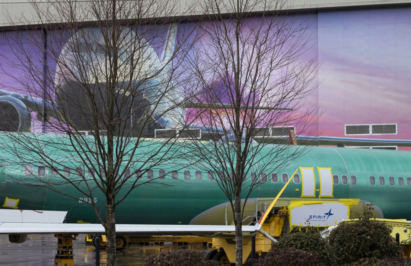 Congress has a lot to say about Boeing’s troubles. But what will it do? 1 US NEWS CONGRESS BOEING SAFETY 1 SE 5kLHEt