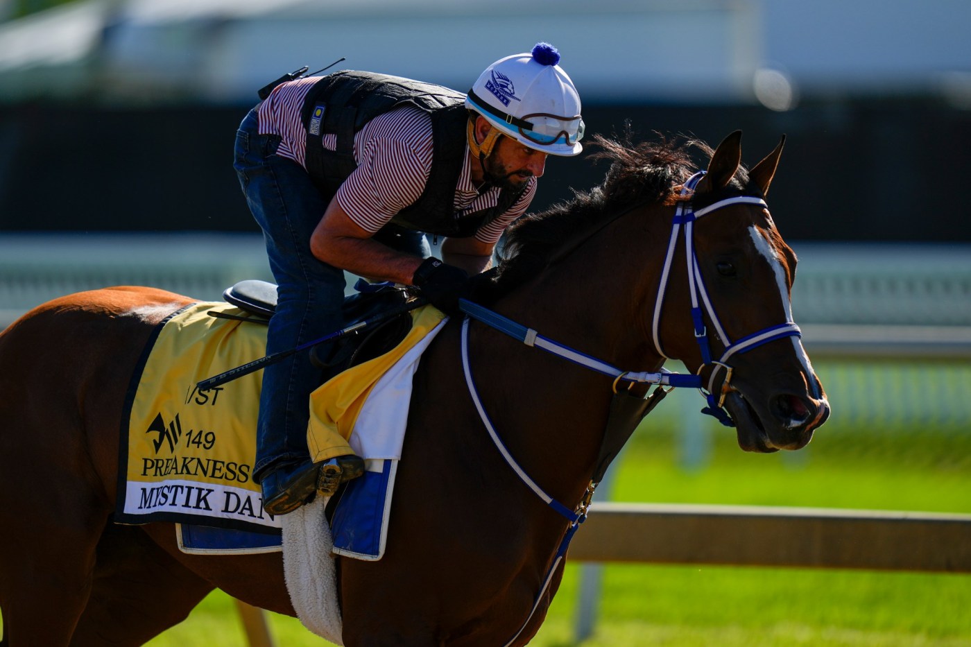 Mystik Dan looks like the Preakness horse to beat 1 AP24137520742119 R6gAye