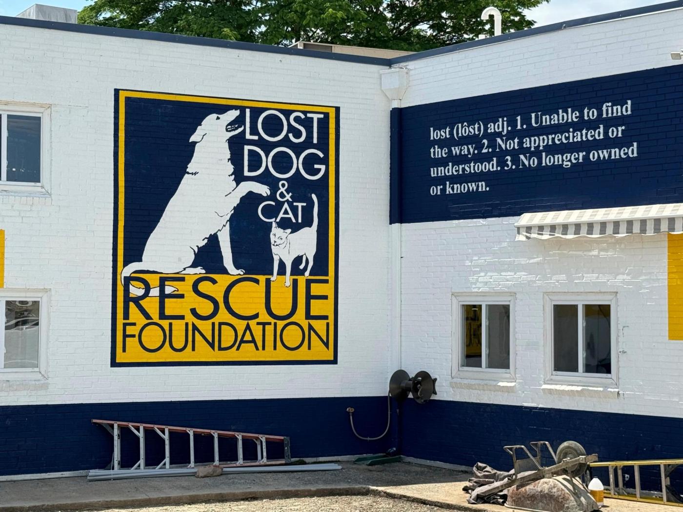 Euthanized Dog Adoption 58720 WSK18Z