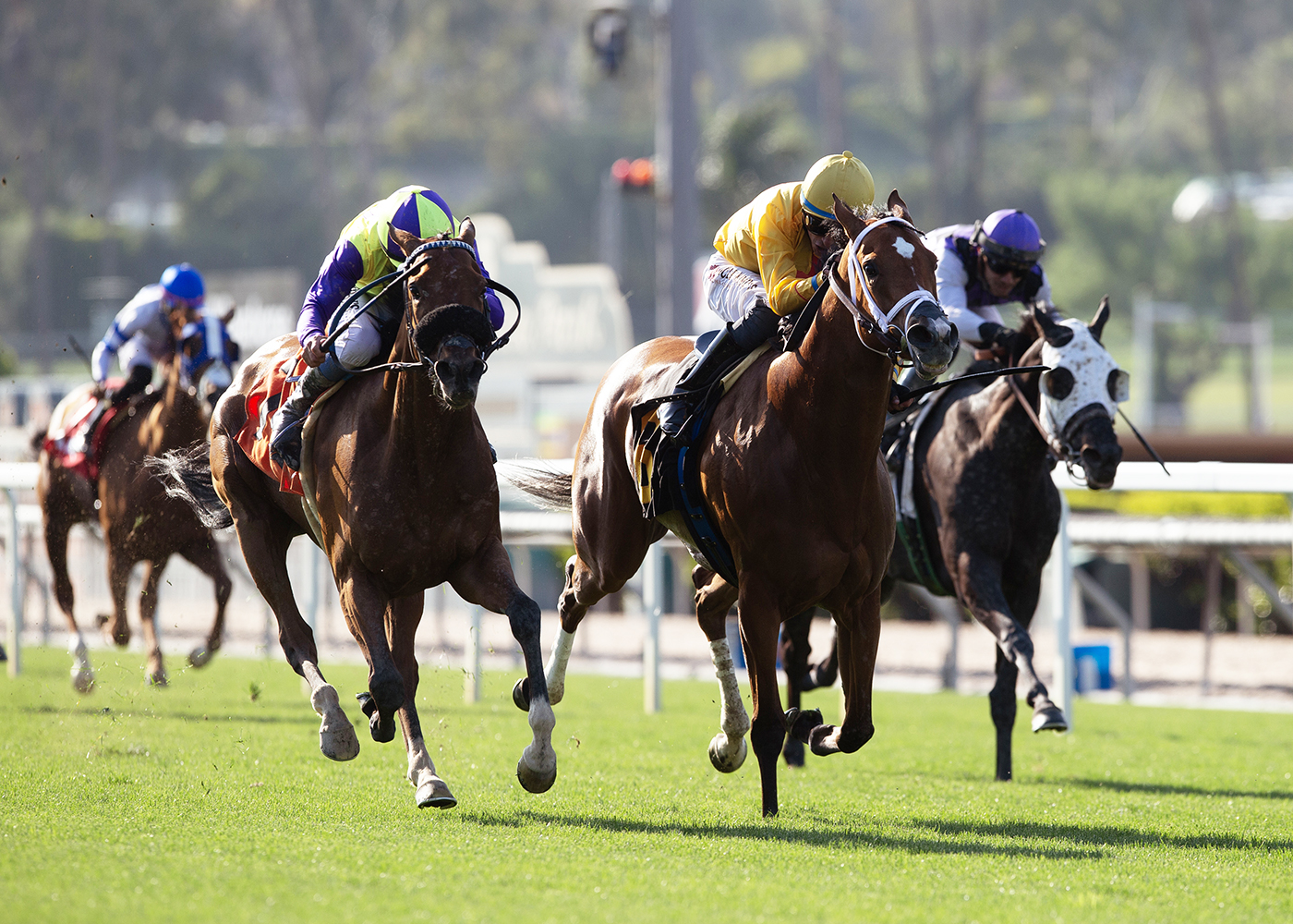 Musical Rhapsody comes up big in Santa Barbara Stakes at Santa Anita 1 Musical Rhapsody uts1 200 zcbyTL