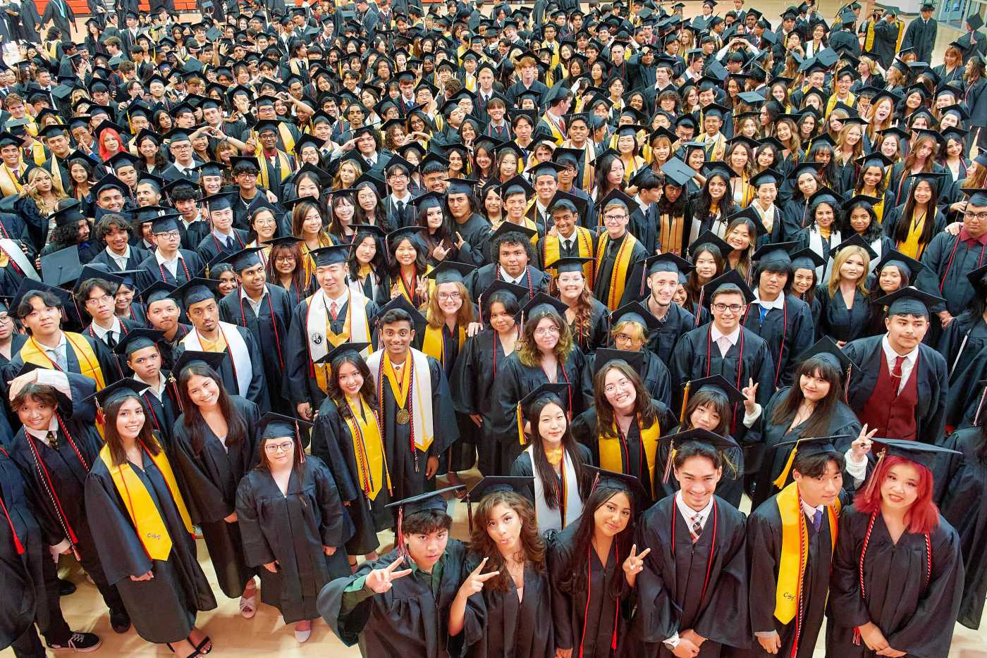 OCR L TROYGRAD24 0530 04 FD 72b02f 1 5w6pXu