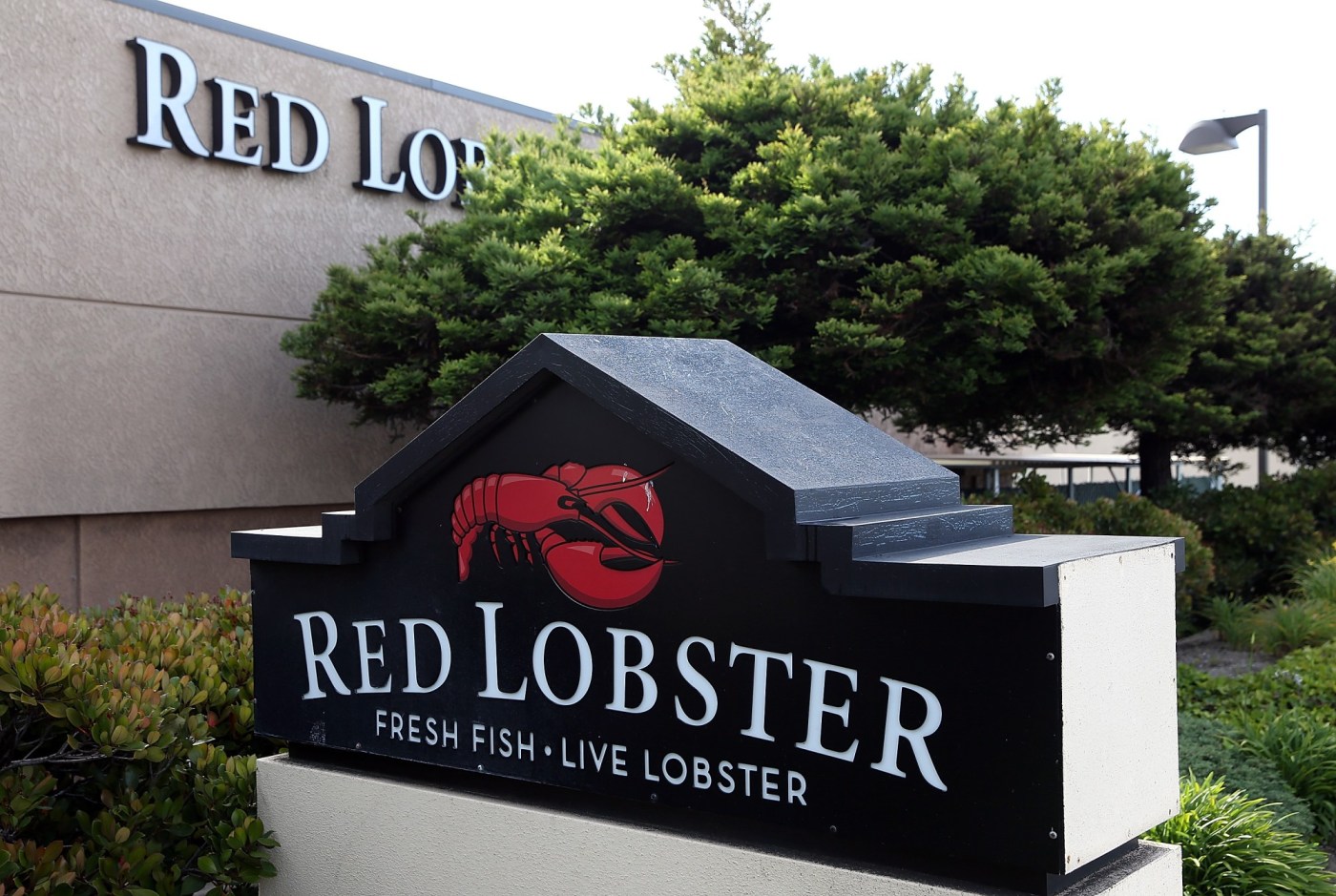 Red Lobster abruptly closes dozens of restaurants around US 1 SJM L REDLOBSTER 0307 104109506 E6i0mL