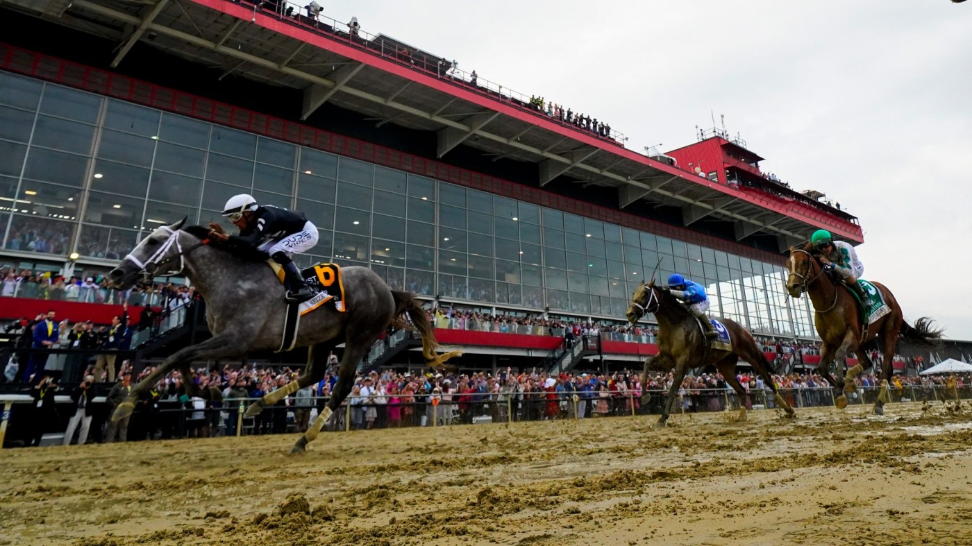 Seize the Grey draws inside post for the Belmont Stakes 1 AP24140003319580 TayX9v