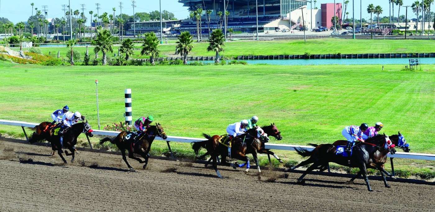 OCR L GENERIC LOSALAMITOS 1