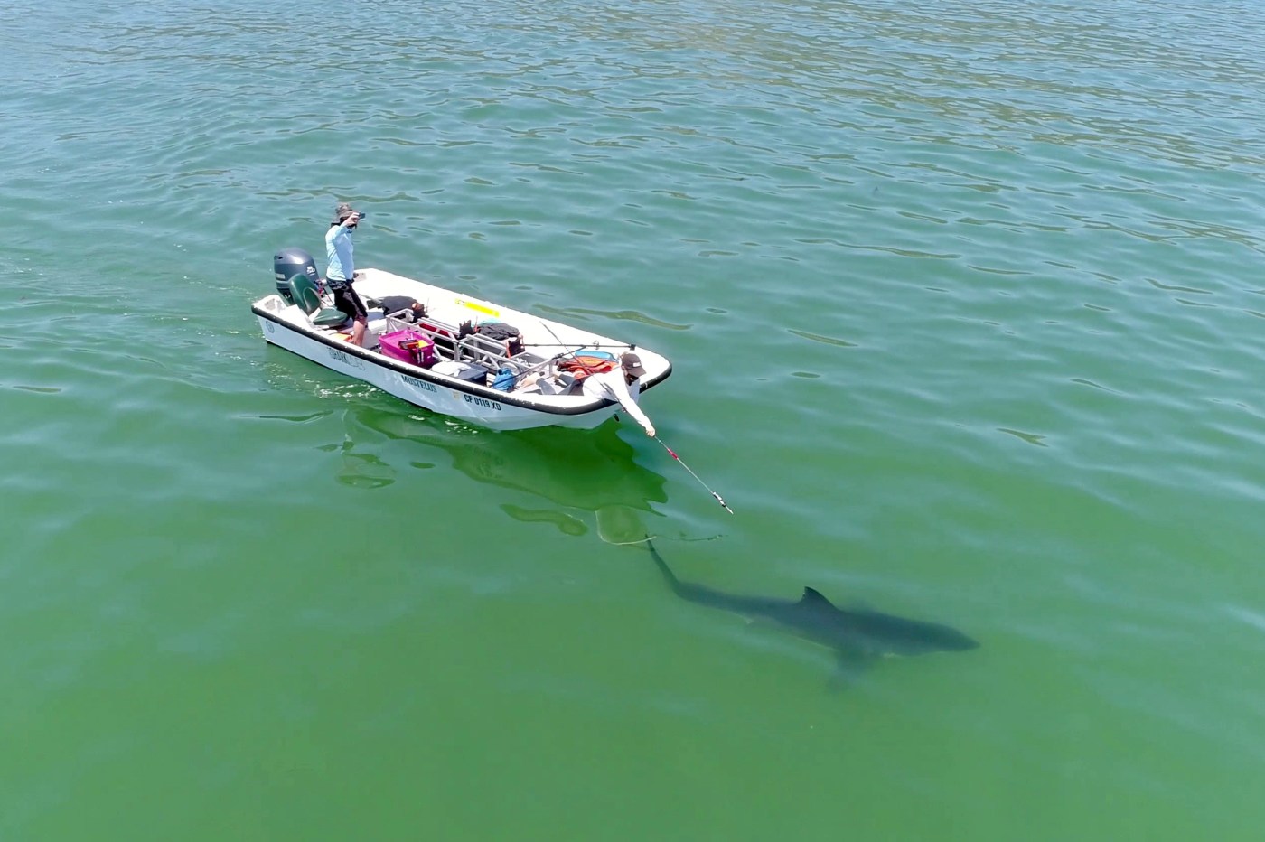 Long Beach’s Shark Lab at risk due to funding challenges 1 OCR L LBSHARKFUNDING 0619 01 1 MF2TVP
