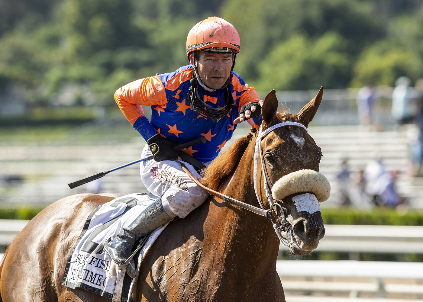 Sugar Fish stumbles into stakes win at Santa Anita 1 Sugar Fish cb2 200 1 olmbOH