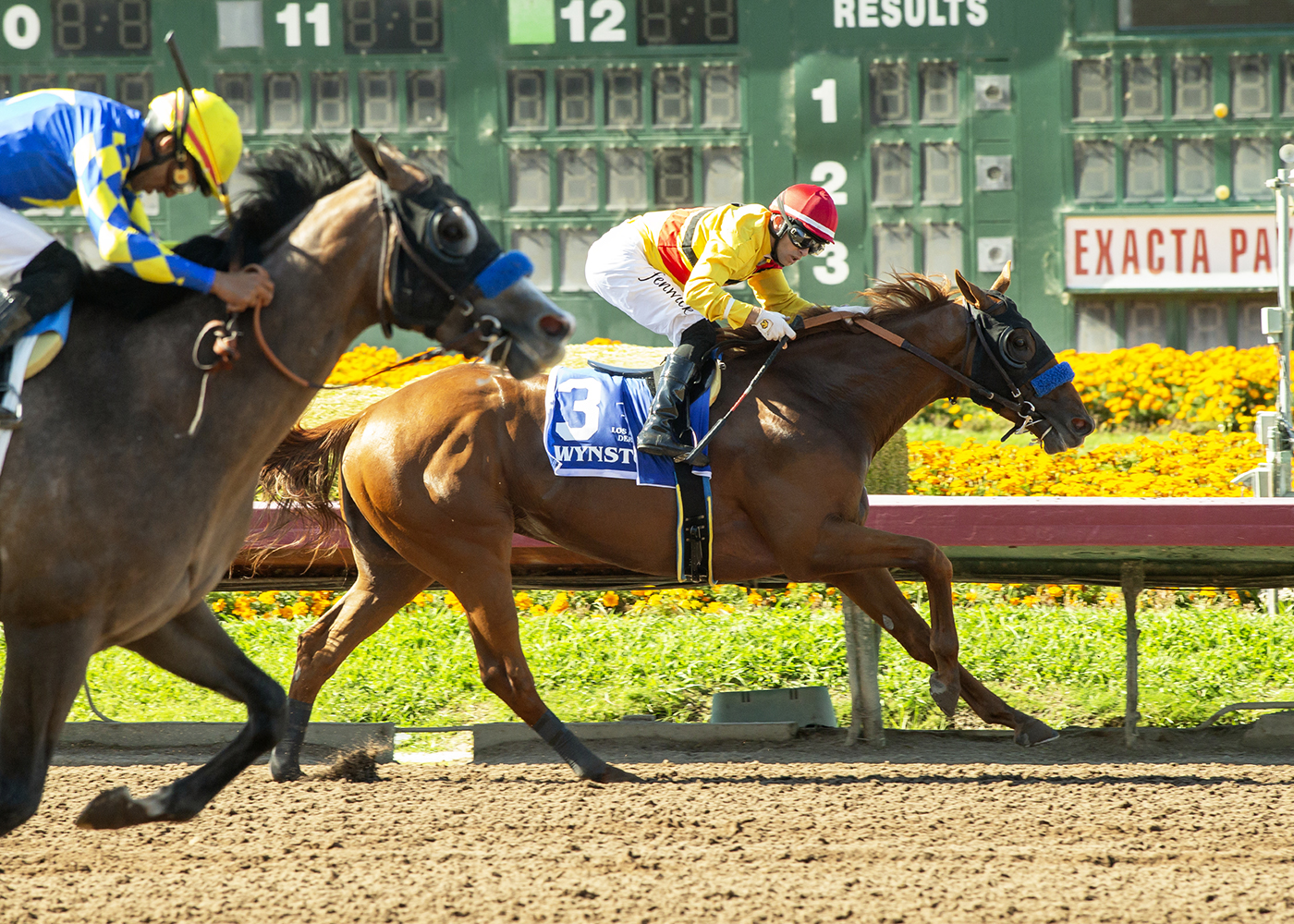 Los Alamitos Derby fits Bob Baffert best again 1 Wynstock a1 200 PpupcV