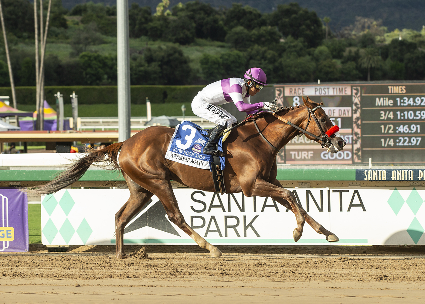Horse racing notes: Southern California’s top Breeders’ Cup prep gets makeover 1 Slow Down Andy a1 200 3aiMt1