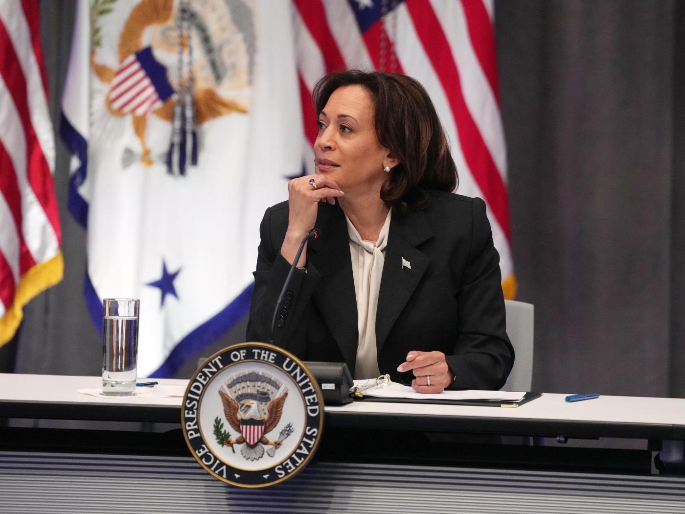 The Democratic elites have spoken: Kamala Harris for President. 1 unnamed file 1368 1 CIXtzr