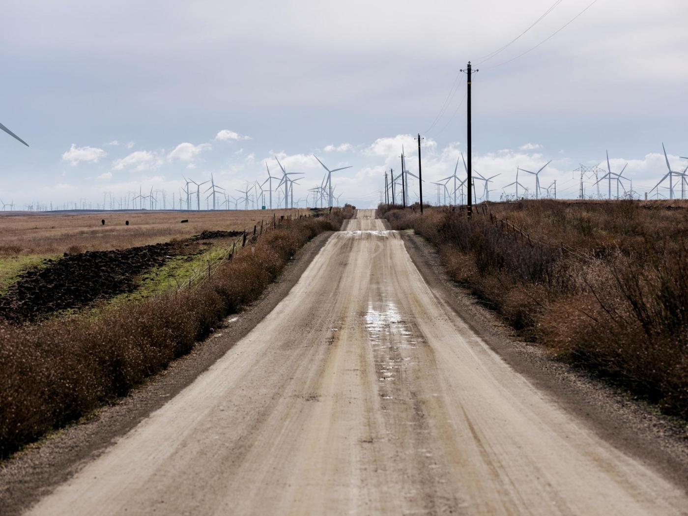 Silicon Valley investors’ plans for new California city put on hold 1 unnamed file 1451 v1UY9H