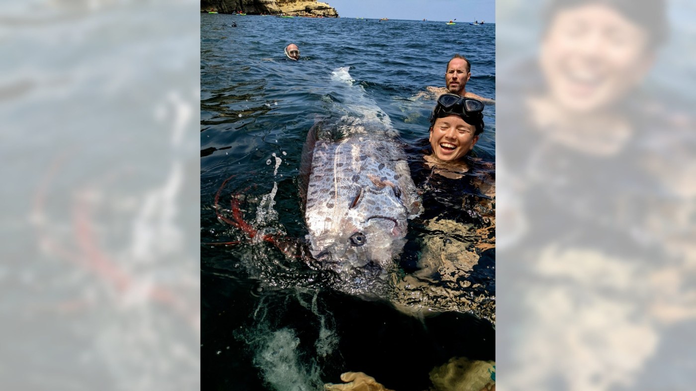 A rarely seen deep sea fish is found in California, and scientists want to know why 1 California Rare Fish 16x9 1 bcmppW