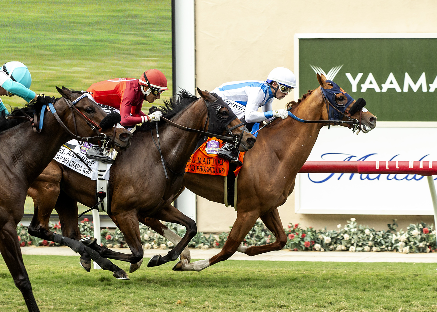 Del Mar hat tricks for Gold Phoenix, trainer Phil D’Amato 1 Gold Phoenix a2 200 1