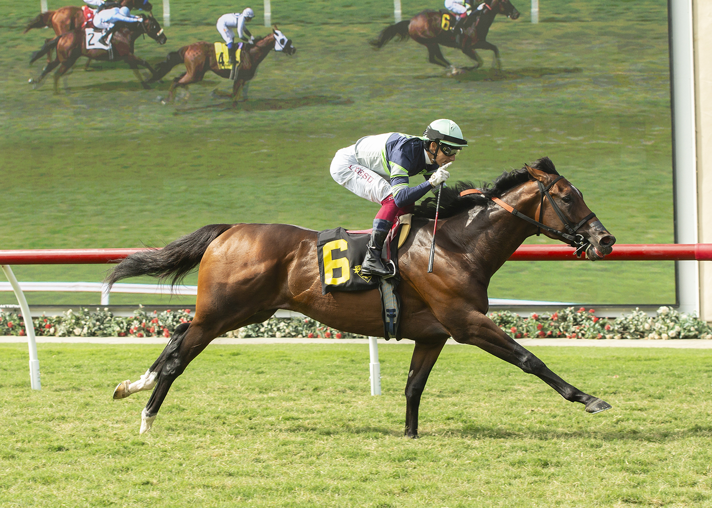 Stay Hot keeps cool to score win in La Jolla Handicap 1 Stay Hot a2 200 Ft0278