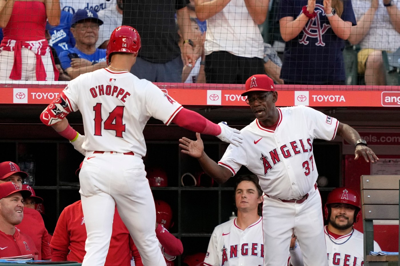 Angels embrace experience of September baseball against a contender 1 AP24248120713148 1 eBg857