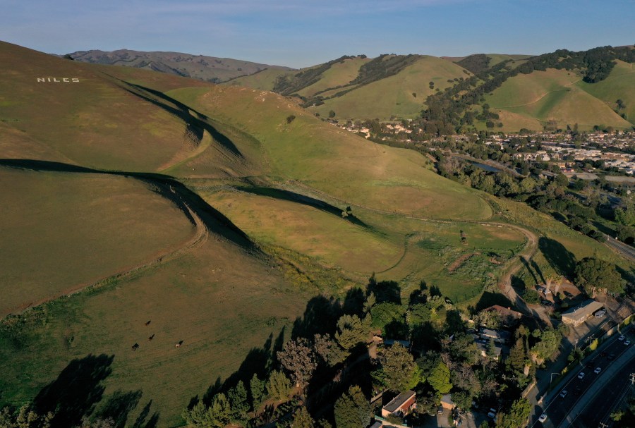 2 Bay Area cities ranked best for women: study 1 GettyImages 1374384023 Bd9mD8