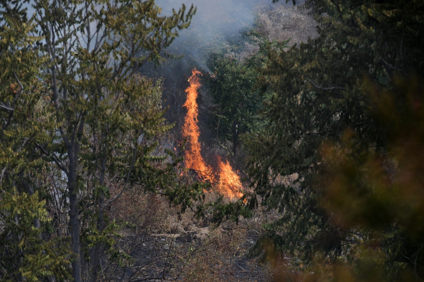 SBS L LINE FIRE 0909 19MS R8pAP7