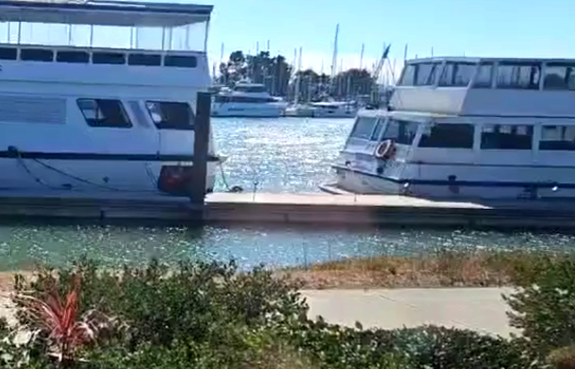 berkeley marina2 sdATNq