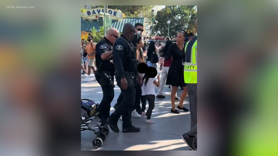 disneyland arrest vYdTn3