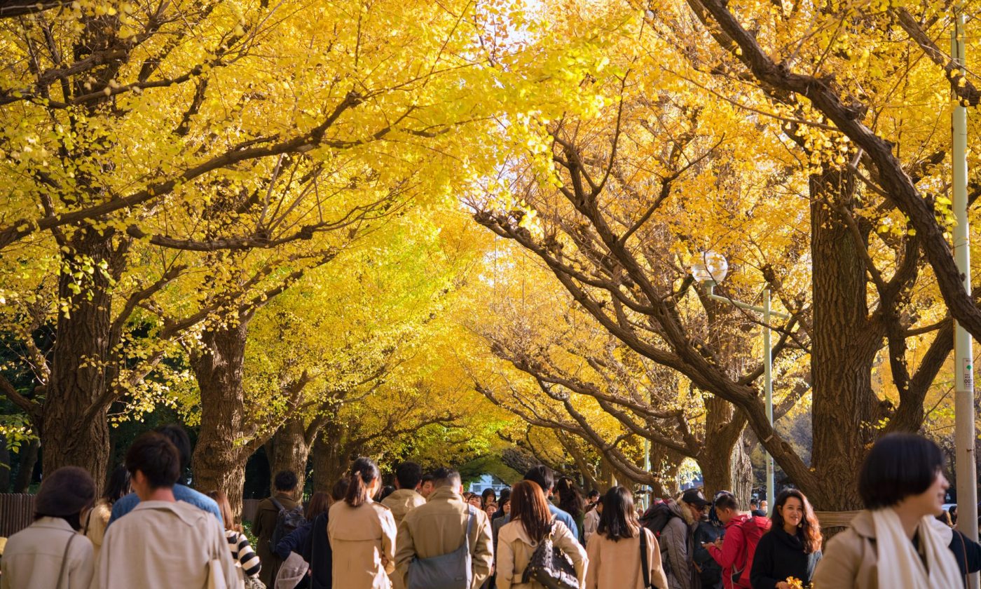 How to avoid the new ‘shoulder season’ crowds 1 httpsassets.nerdwallet.comblogwp contentuploads202409GettyImages 1422789055 1920x1152 1 ISdTt7