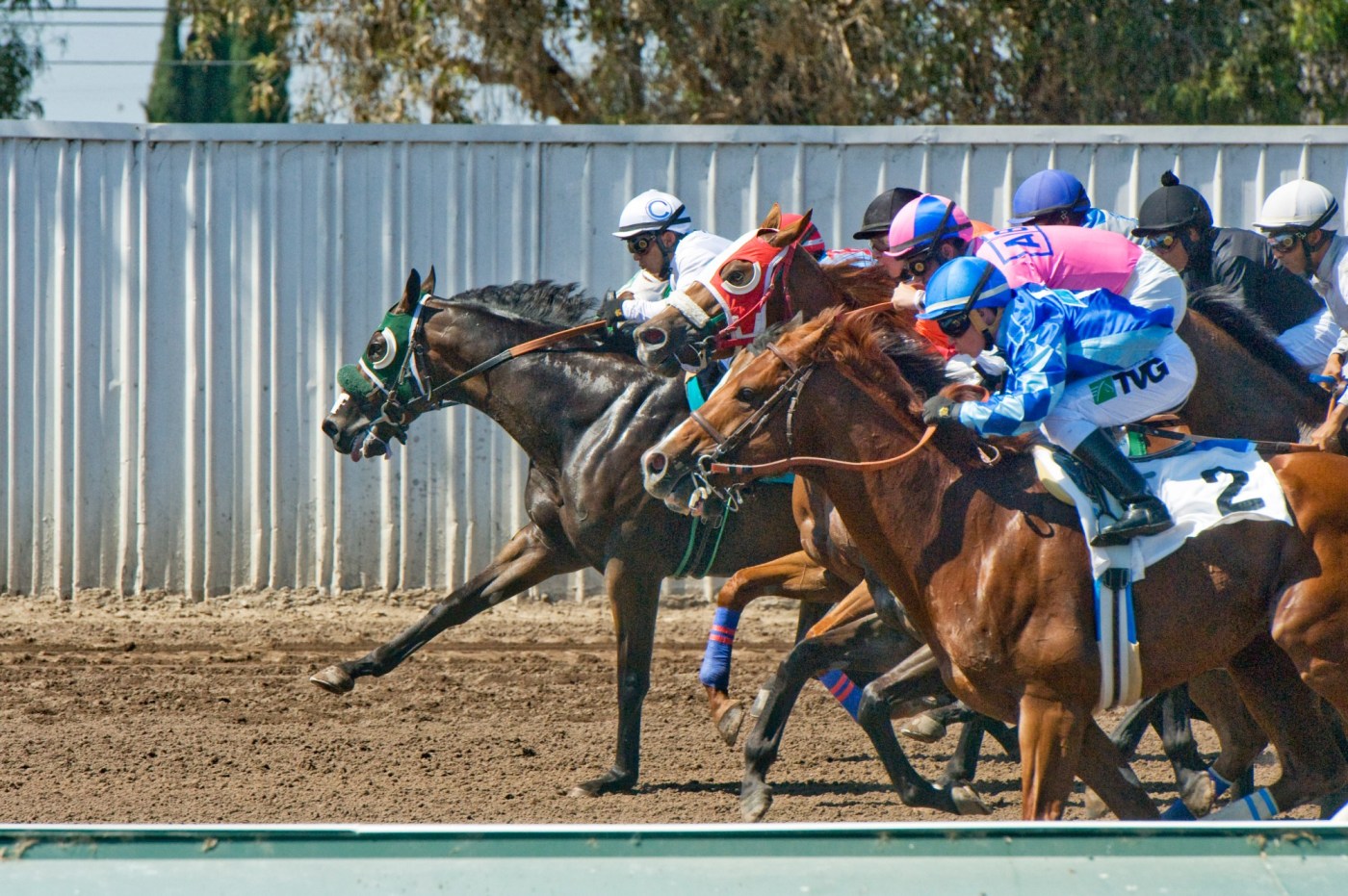 5 more horses euthanized at Los Alamitos due to infectious disease, bringing total to 12 1 IMG 002.losal .0704.JS .j 1 1 3B3EOC1 L5079814 XHzHPD