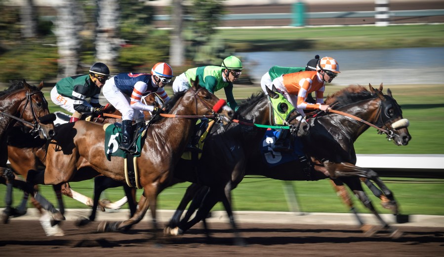 Five more horses euthanized at Los Alamitos 1 Los Alamitos Race Course IN1Vha