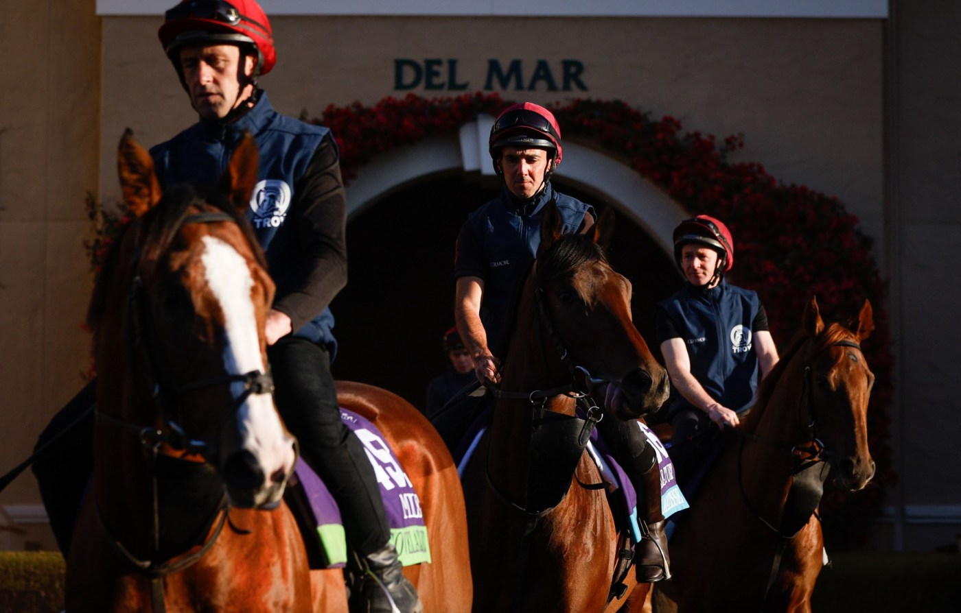 Breeders’ Cup horse racing consensus picks for Friday, Nov. 1, 2024 at Del Mar 1 SUT L miller 1101 016 7rqF3W