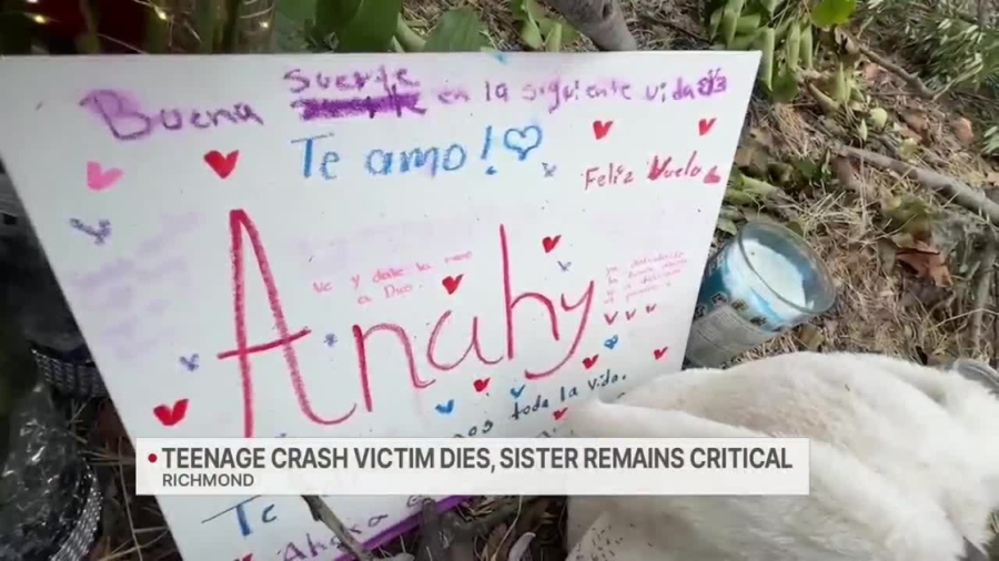 GoFundMe created for teen girl killed in Richmond crash 1 download adeeef t4EnnD