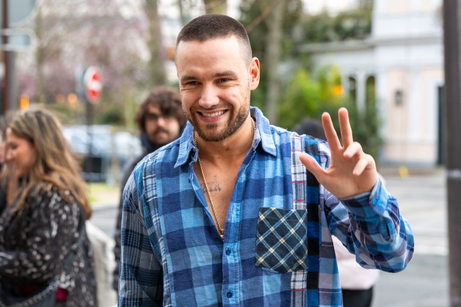 Charlie Puth, Rita Ora and more mourn Liam Payne 1 liam payne ulso3d