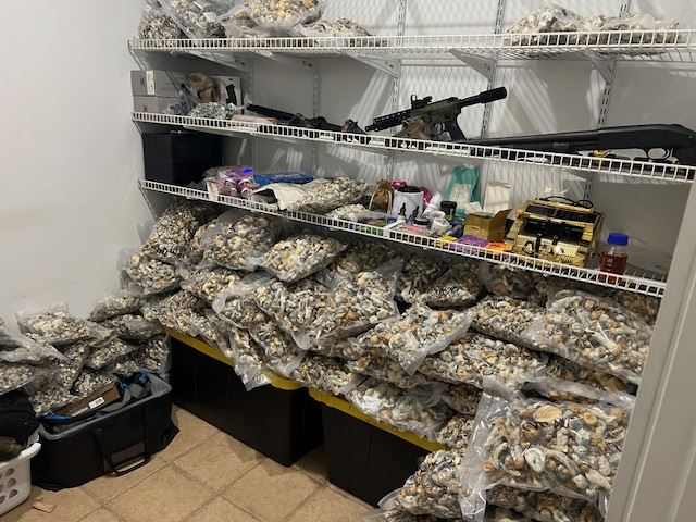 Man ships 'suspicious package,' later caught with guns, nearly $3 million of illegal mushrooms 2 Document 5 DycnNw