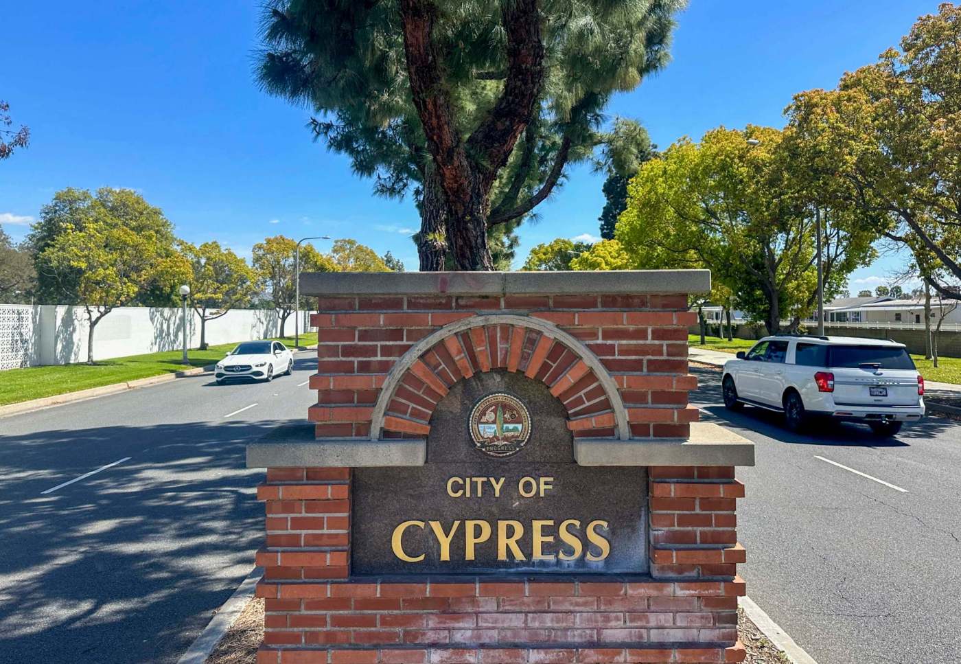 2024 Election Results: Cypress City Council 1 OCR L CYPRESS JG 08 skKZAv