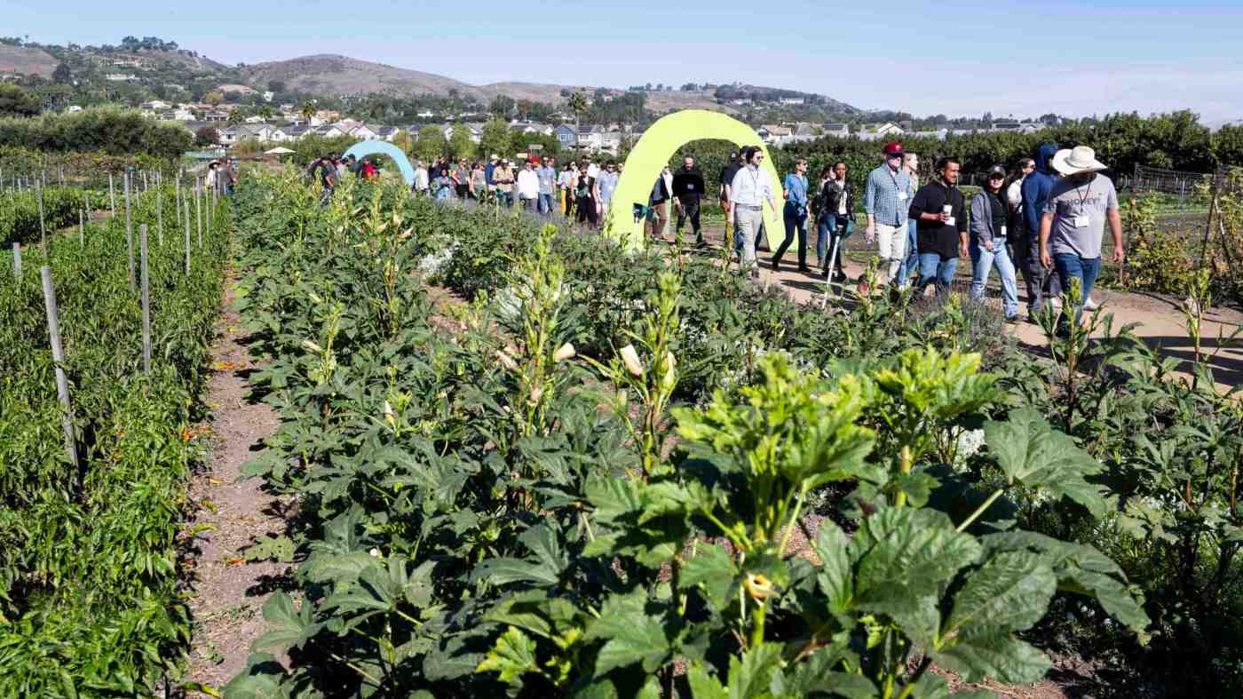 Farmers, educators aim to make organic produce available in California public schools 5 OCR L ECOLOGY 1025 01 PB AgUWt1