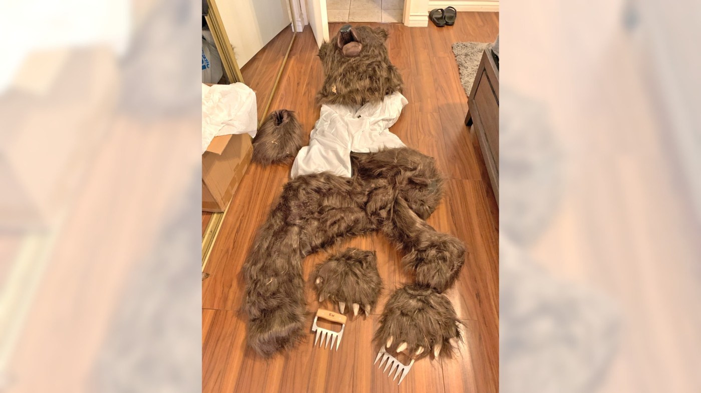 4 arrested after ‘bear’ claimed to damage vehicles in Lake Arrowhead turns out to be person in bear suit 1 SBS L BEAR 1114 01 2s0c60