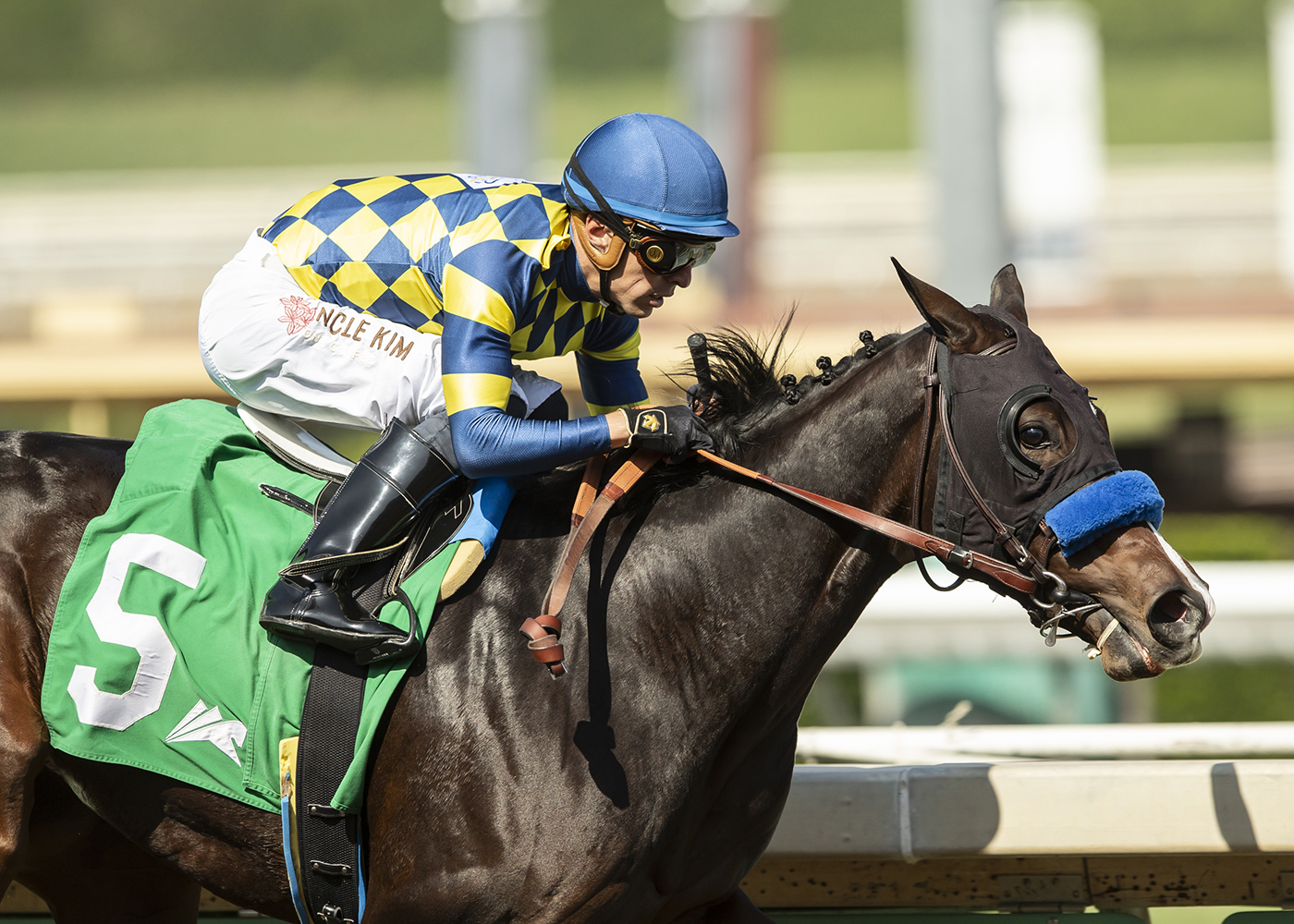 Horse racing notes: Silent Law can extend Bob Baffert’s rule at Del Mar 1 Silent Law ti1 200 LRwbbi