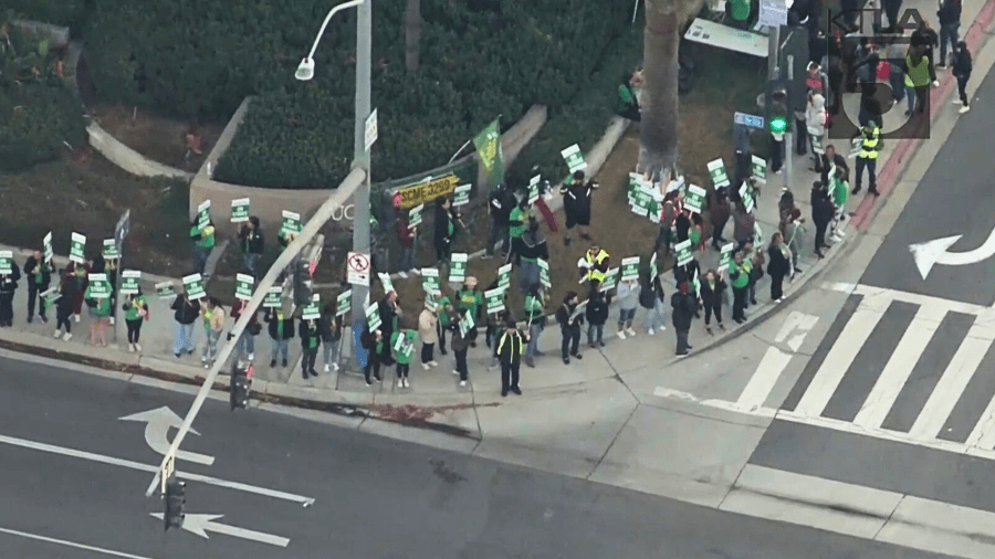 UC healthcare workers begin 2-day strike across California 2 UC strike kbzsmy
