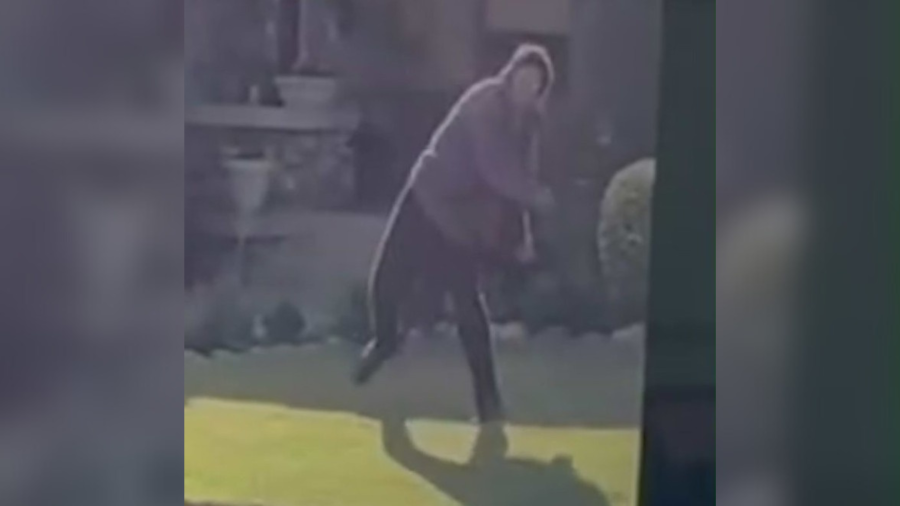 Homeless man throws rocks at South Pasadena police officers, hits car: Video 4 south pasadena rock throwing 3 SuvTlQ