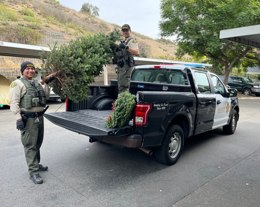 24 082 Recovered Christmas Tree TnKtBh