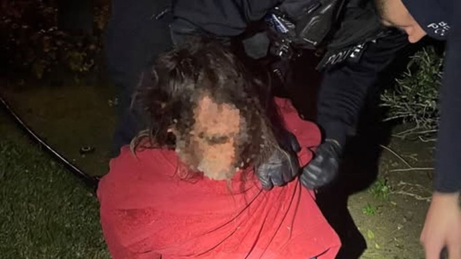 63-year-old arrested for vandalizing Benicia businesses: PD 2 Benicia PD