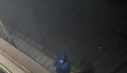 $150K reward offered after letter carrier robbed at gunpoint in Antioch 1 Screenshot 2024 12 10 151210 m6j9a4