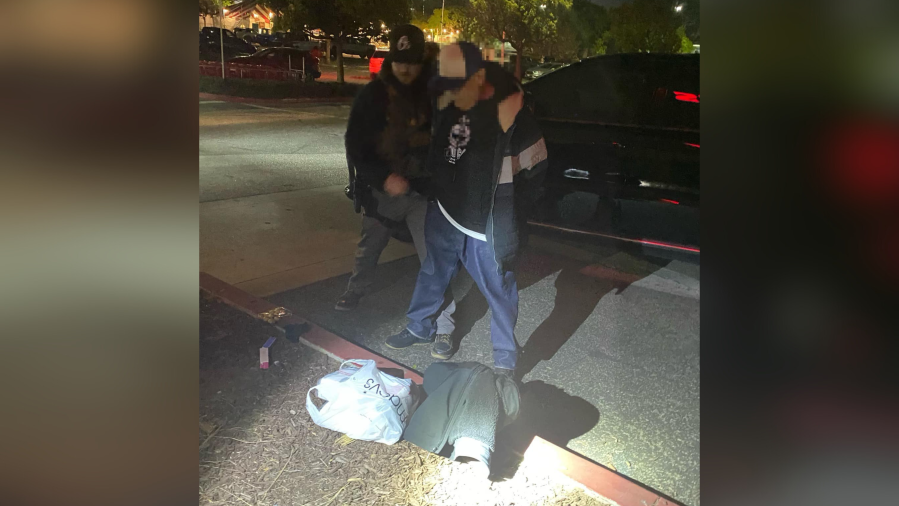 Shoplift suspect 1