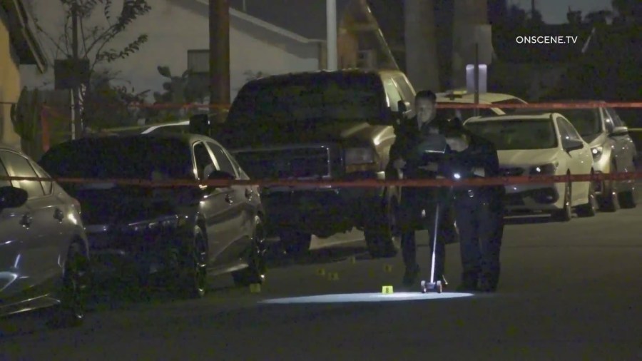 Man found shot to death in car near Disneyland 4 snapshot 2024 12 09T114034.575 i9WbF3