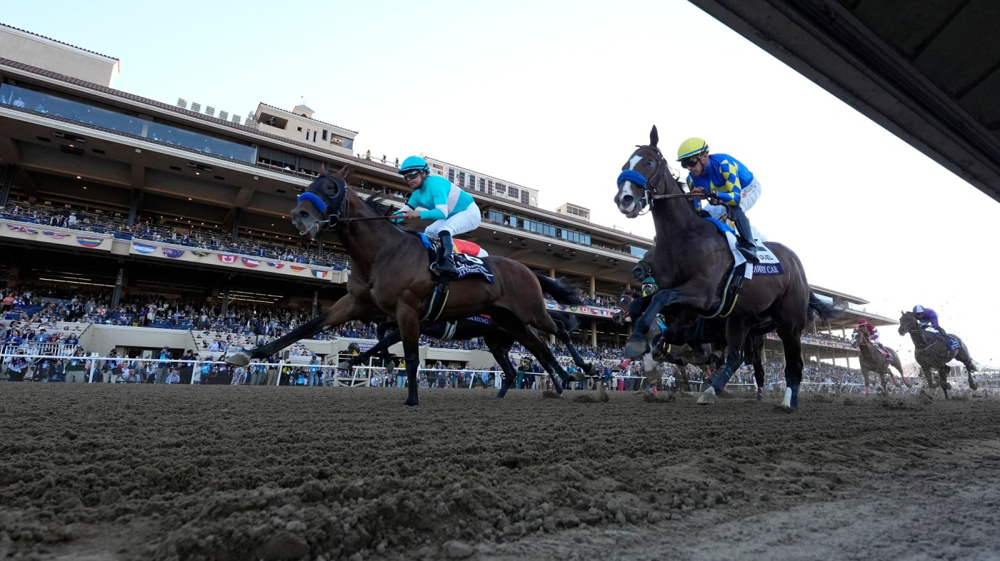 Horse racing column: 20 horses to watch as Kentucky Derby season begins 1 AP24307013820358 PFX431