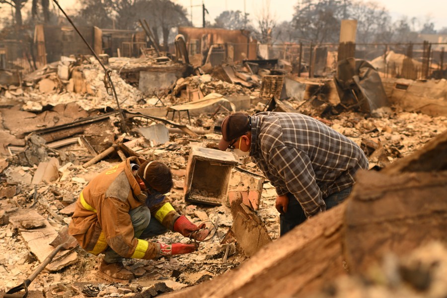 New task force will fight wildfire-related crimes in Los Angeles 1 AP25009661399881 2eCoMZ