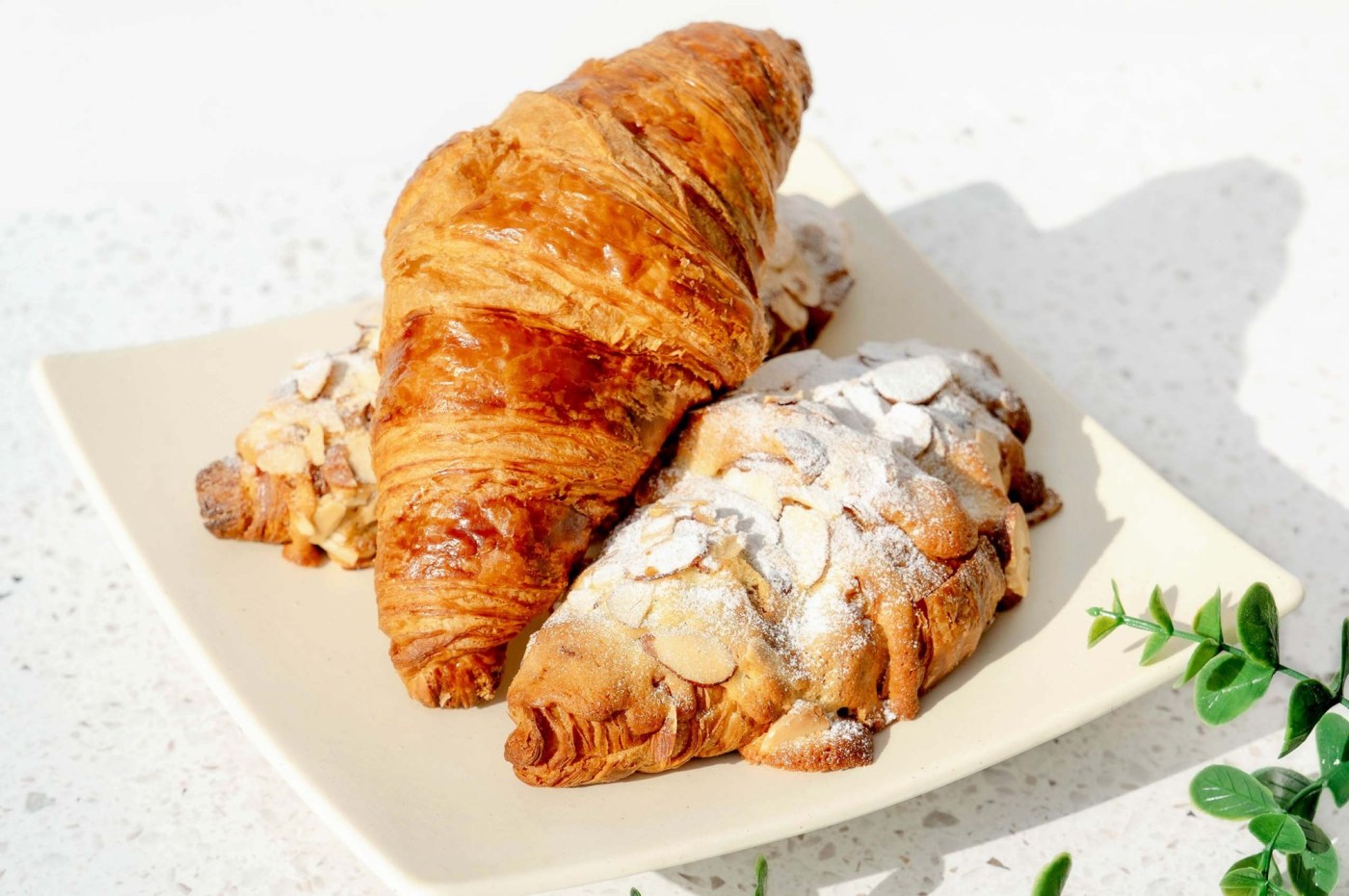 OCR L STATUS TOUSlesJOURS BREAD 0106 2c jjW6J4