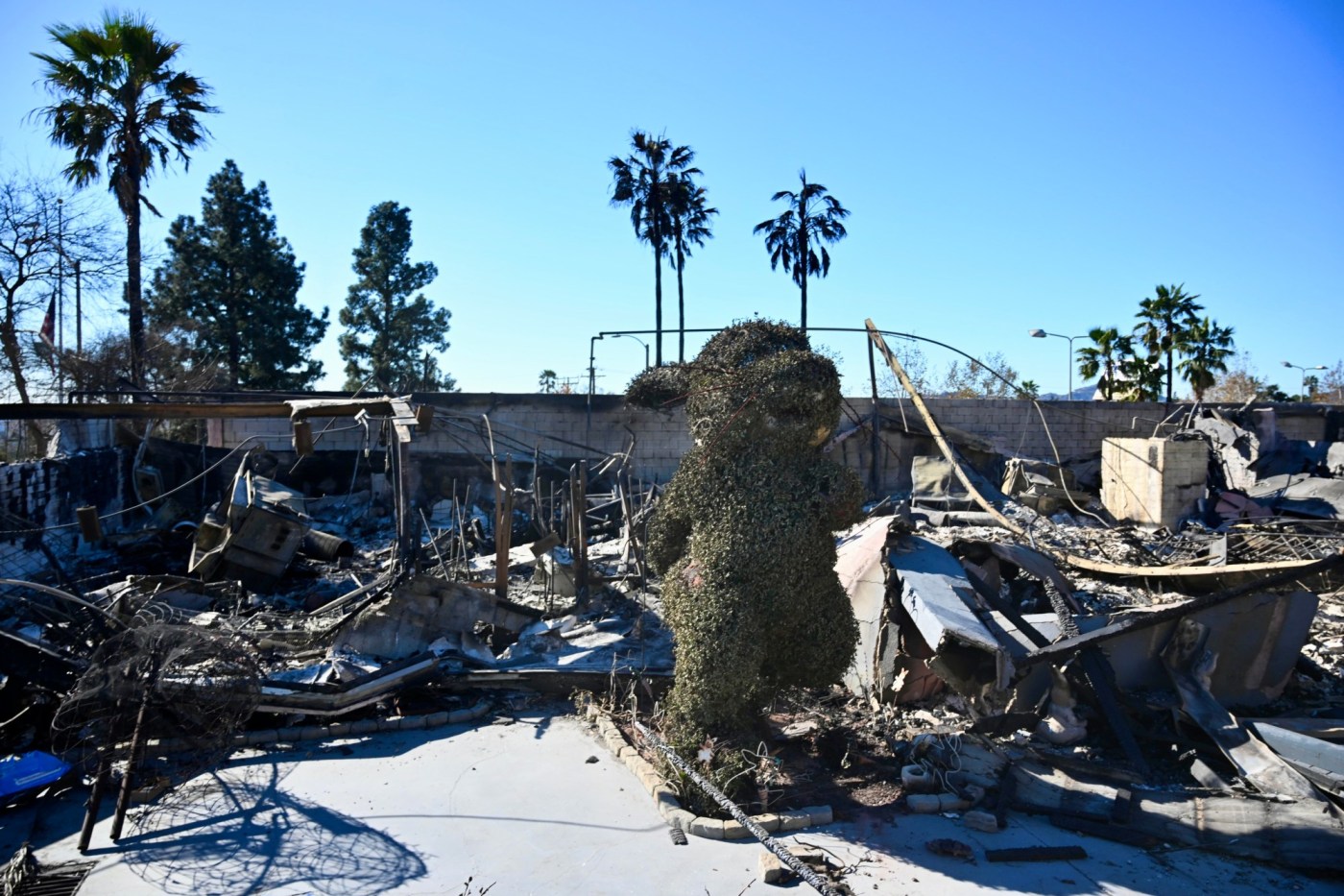 Fans rally in support as Bunny Museum co-founders plan to rebuild on Altadena site 2 PAS L FIRE BUNNY 0115 01 pzKZfb